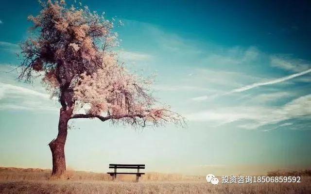 期货交易爆仓的重要原因是，因为这几点没做好！