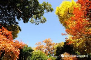 建立自己的交易盈利体系...-明慧期货培训网，学习联系：15217215251