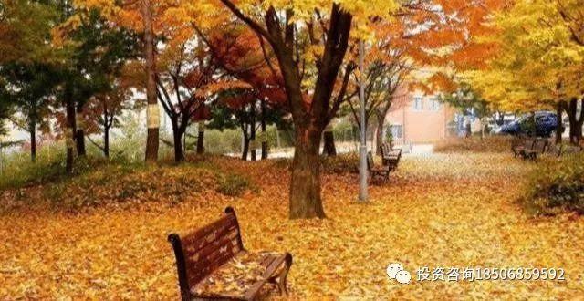 那些期货赢家的共同点：一只眼看市场，一只眼盯自己！