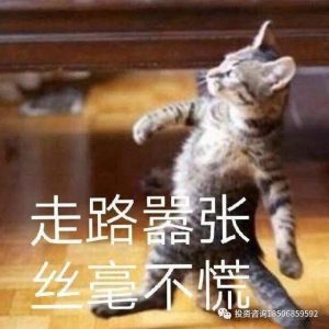 期货实战中要重视这五项能力的培养才能成为高手！-明慧期货培训网，学习联系：15217215251