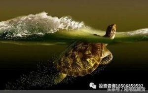 日内交易的5个注意点和7个关键要素，非常适合中小交易者操作-明慧期货培训网，学习联系：15217215251