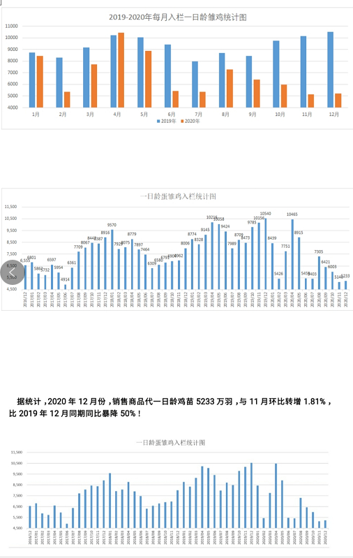 鸡蛋：春节后的上涨行情将是确定的