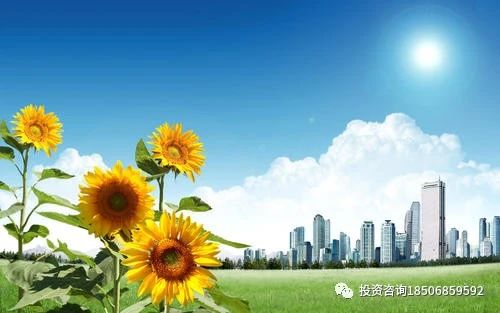 图片[5]-2021年春节假期国际市场涨跌统计！-明慧期货培训网，学习联系：15217215251