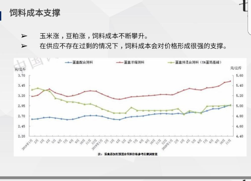 鸡蛋：春节后的上涨行情将是确定的