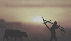 辞职做期货,你是否想好了呢?-明慧期货培训网,学习联系:15217215251