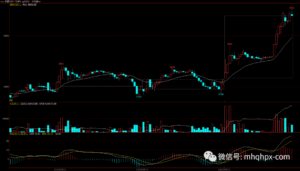 最终在交易市场存活下来的都是些什么人?我连读十遍,陷入了沉思!-明慧期货培训网,学习联系:15217215251