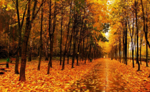 我的经验告诉你为什么小止损不是王道！-明慧期货培训网，学习联系：15217215251