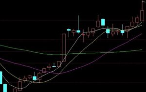 真实的交易大神，一招一式都返朴归真！-明慧期货培训网，学习联系：15217215251