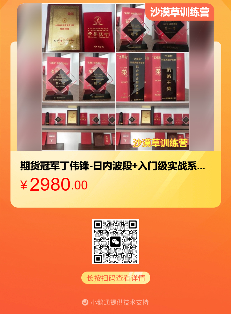 丁伟锋进阶视频课程